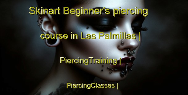 Skinart Beginner's piercing course in Las Palmillas | PiercingTraining | PiercingClasses | SkinartTraining-Mexico